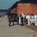 IMG 0045