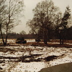 1984 - Bergen