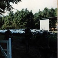 1986-07-07 10 - Infanteriegefechtsausbildungswoche (4 Kp) (53)
