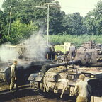 CD31