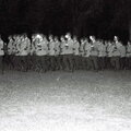 q00002