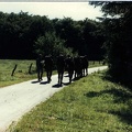 1986-07-07 10 - Infanteriegefechtsausbildungswoche (4 Kp) (52)