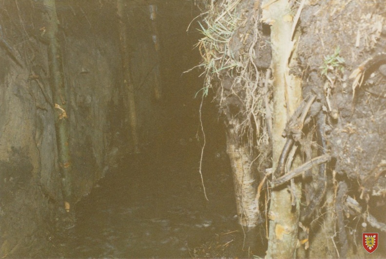 1987-05 - Hoeltigbaum - tarnen und taeuschen-23