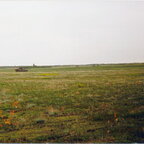 17 - 1991-06 - Shilo SB Deilinghofen