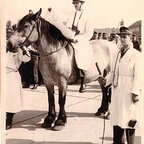 1959 - Qurantaene in Boostedt Oberleutnant Siegfried Storbeck hoch zu Ross