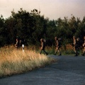 1986-07-07 10 - Infanteriegefechtsausbildungswoche (4 Kp) (38)