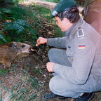 1989-07 - Bergen - 08