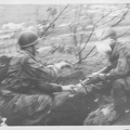IMG 0027