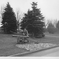 IMG 0017