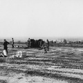 IMG 0082