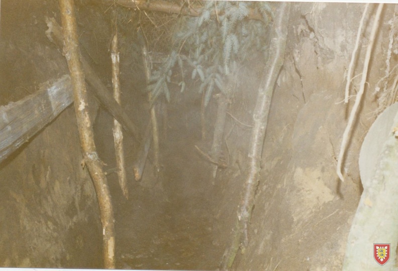 1987-05 - Hoeltigbaum - tarnen und taeuschen-22