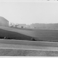 IMG 0043