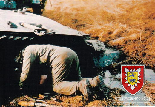 Bergen 6