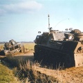 1981 11 Brisk Fray 10