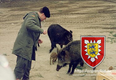 Wildschweinfuetterung Bergen