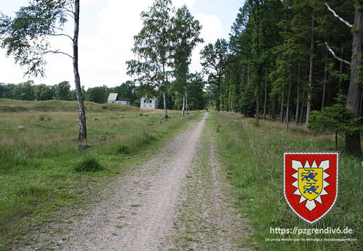 IMG 5975
