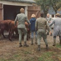 1976 - Hennigs - Steebuck - Fritschen