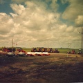 SHILO_126.jpg