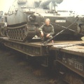 Munster 1981 1