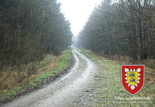 2003-01 012
