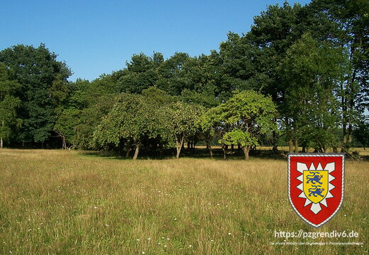 2008-07-30 Lohe 004