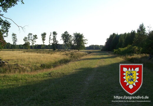 2008-07-30 Lohe 006