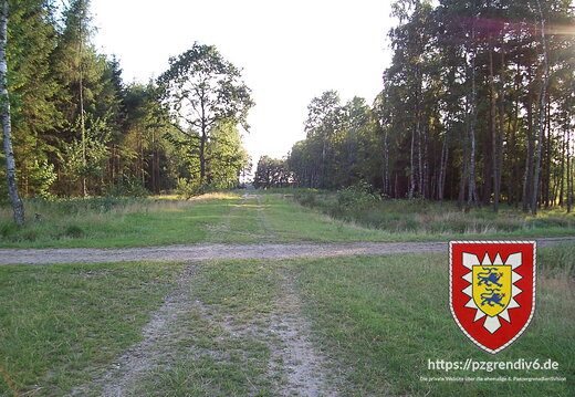 2008-07-30 Lohe 009