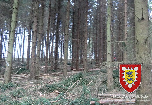 2013-03-07 - forstarbeiten Lohe 005