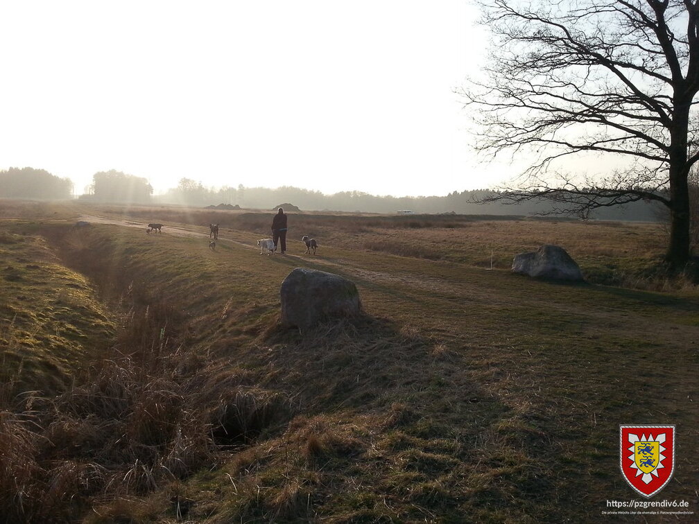 2014-03-06 - Lohe Bagger 008