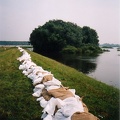 Elbehochwasser Aug 02 (17)