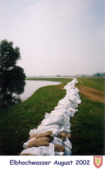 Elbehochwasser Aug 02 (19)