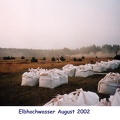 Elbehochwasser Aug 02 (20)