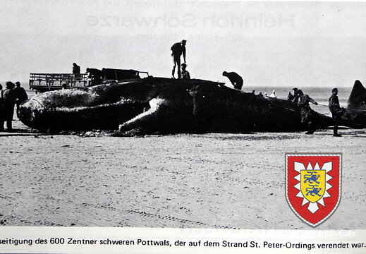 032 13-3  Walbergung St.Peter 1974