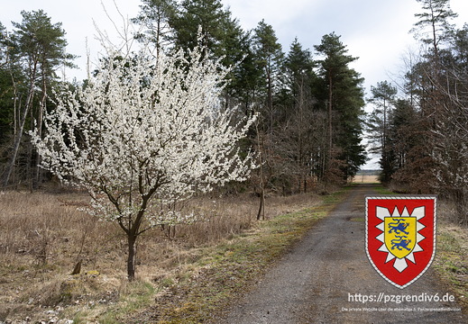 2025 04 StOÜbPl Kaltenkirchen-8