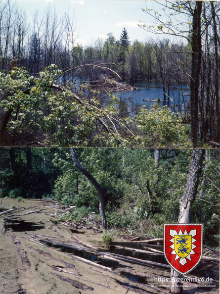1985 - TrUebPl SHILO (128 von 206)