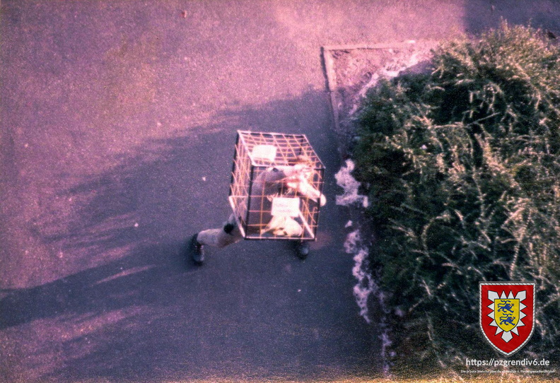 Pic 2025 05 18 10 46 52000107 06