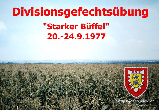 01 Starker Büffel