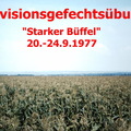 01 Starker Büffel