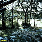 17 PzAbwehr aus dem Wald